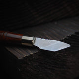 M390 Carving Knife