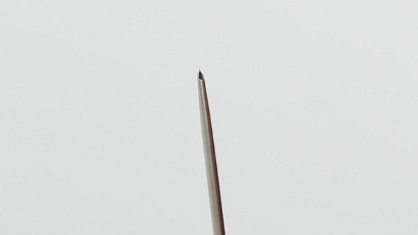 Seiwa Hand Sewing Needle